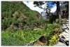 10/namche bazar 60 (Small).jpg